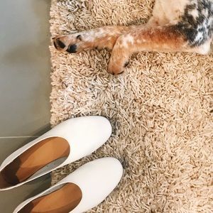 Everlane Day Glove White